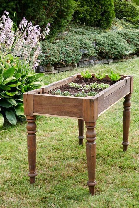 Diy Garden Bed, Vegetable Garden Raised Beds, Building A Raised Garden, Diy Raised Garden, Raised Garden Beds Diy, Garden Boxes, Veggie Garden, Edible Garden, The Grass