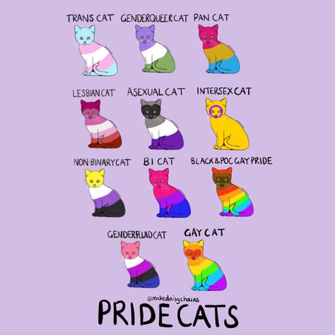 UPDATED PRIDE CATS! ...[image description: digital illustration of cats coloured in with pride flags. Left to right top to bottom included are trans, gender queer, pan, lesbian, asexual, intersex, non-binary, bi, black and poc gay flag, genderfluid and gay flag. The background is lilac. ] #pride #pride🌈 #prideflag #trans #genderqueer #pansexual #lesbian #asexual #intersex #nonbinary #bisexual #genderfluid #gayflag #pocgayflag #blackgayflag Image Description, Hello Kitty, Flag, Kitty