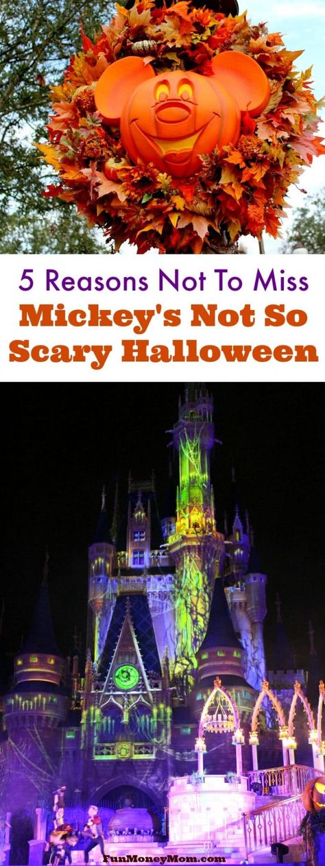 If you've never been to Mickeys Not So Scary Halloween Party, here's why you can't miss this special Disney World annual event! Candy Haul, Mickeys Not So Scary Halloween, Disney Halloween Parties, Disney World Halloween, Mickey Halloween Party, Not So Scary Halloween Party, Not So Scary Halloween, Mickey Halloween, Party Tips