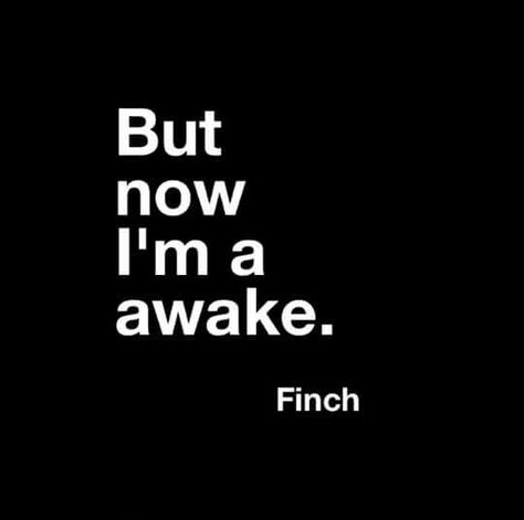 awake Why Am I Awake So Early Funny, Im Awake, Schrödinger's Cat, Funny Things, Then And Now, Vision Board, Funny Memes, Feelings, Collage