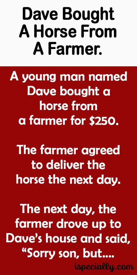 Dave Bought A Horse From A Farmer. – Cowboy Humor, Give Me My Money, Buy A Horse, Daily Jokes, Happy Mood, Communication Networks, The Farmer, Funny Horse, A Farmer