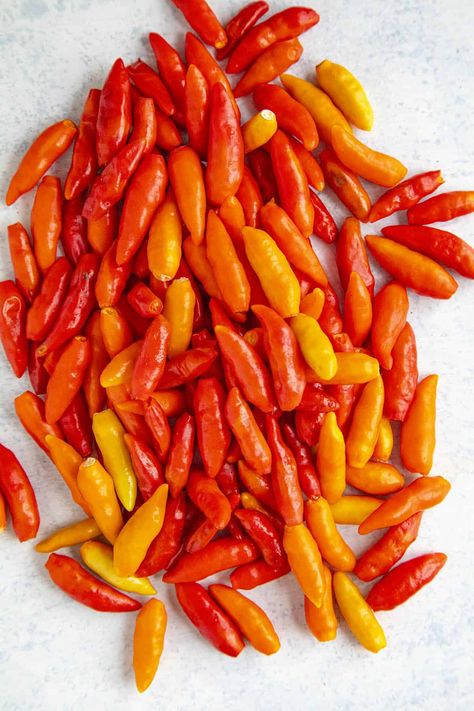 Tabasco Peppers: All About Them Chili Roaster, Tabasco Sauce Recipe, Tabasco Peppers, Types Of Chili, Pepper Ideas, Gardening Peppers, Types Of Chili Peppers, Pepper Growing, Pepper Varieties