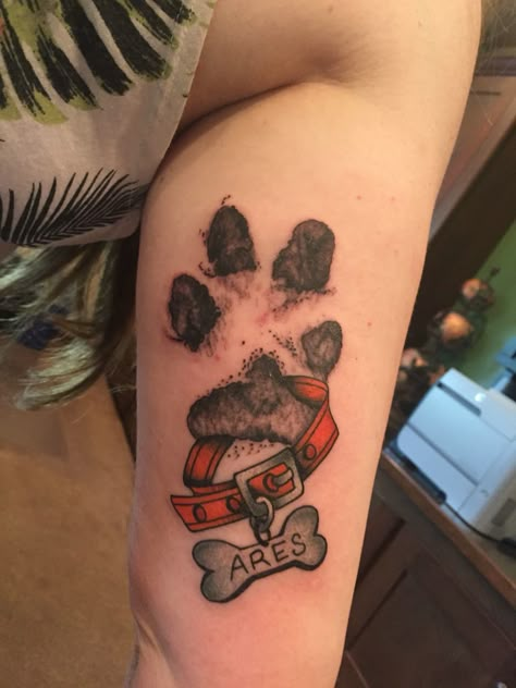 Dog Paw Tattoo Memorial Placement, In Memory Tattoos For Dogs, Tattoos Of Dogs Ideas, Pawprints Tattoo, Nose Tattoo Ideas, Yorkie Tattoos, Rip Dog Tattoos, Dog Collar Tattoo, Dog Nose Tattoo