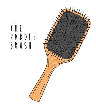 A%20good%20hair%20day%20stars%20with%20using%20the%20best%20hair%20brush%20for%20you.%20Find%20out%20whether%20it's%20a%20paddle,%20boar%20bristle,%20denman%20or%20round. Brushes For Curly Hair, Wet Hair Brush, Denman Brush, Curl Products, Best Hair Brush, Teasing Brush, Make Hair Grow, Boar Bristle Brush, Paddle Brush