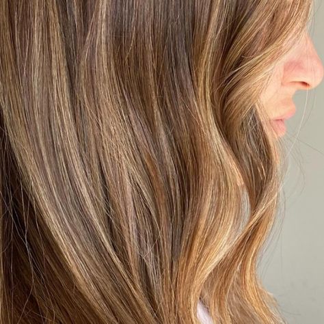 Salted Caramel Hair, Carmel Hair Color, Salted Carmel, Blonde And Brunette, Caramel Hair, New Hair Colors, Hair Color Trends, Salted Caramel, Hair Colors