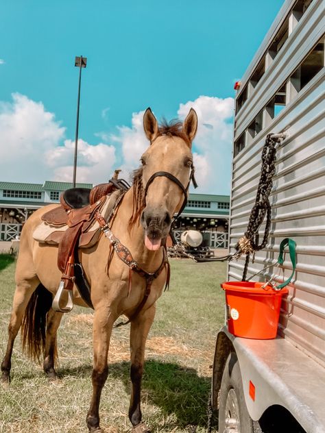 Barrel horse
Barrel racing 
Barrel racer
Rodeo
Buckskin 
Cowboy 
Cow horse
Cowgirl
Youth worlds
NBHA Barrel Racing Aesthetic, Horse Barrel Racing, Barrel Racing Tack Rodeo, Barrel Train, Horsey Life, Buckskin Horse, Cow Horse, Barrel Racing Tack, Barrel Racing Horses