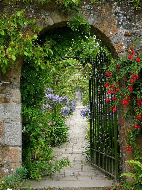 Cuida de lo natural que será para observar las maravillas del Universo. Regalo de nuestro Dios. Open Gate, A Garden, Gate, Purple, Plants, Flowers, Red