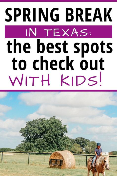 If you’re looking for ideas for spring break in Texas, I have this great list of things I’ve experienced firsthand. If you’ve got spring break ideas for Texas you don’t see mentioned here, let me know what I’m missing. Spring Break Texas, Road Trip Texas, Vacation Places In Usa, Spring Break Ideas, Texas Road Trip, Spring Break Getaways, Texas Spring, Family Spring Break, Best Family Vacation Destinations