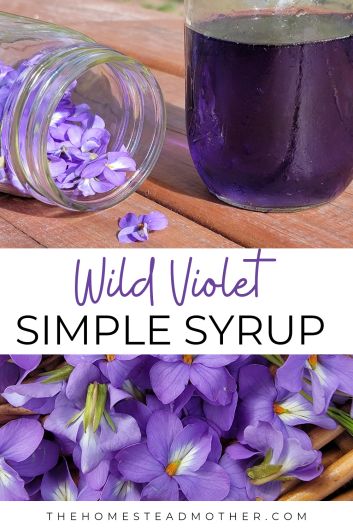 Violet Syrup, Spring Cocktail, Edible Flowers Recipes, Foraging Recipes, Garden Therapy, Simple Syrup Recipes, Foraged Food, Spring Cocktails, Herbal Recipes