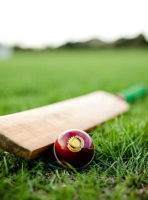 Cricket bat and ball on green grass | premium image by rawpixel.com / Felix Cricket Dp, Cricket Bat And Ball, Cricket Images, Sports Aesthetics, History Of Cricket, Minion Card, About Cricket, Cricket Game, Cricket Logo