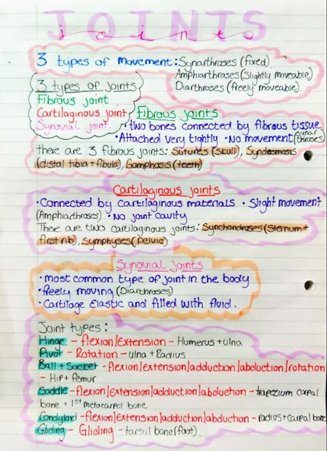 Revision notes on joints - fibrous/cartilaginous/synovial Kinesiology Study Notes, Kinesiology Notes, Fibrous Joints, Anatomy And Physiology Joints, Orthopedic Study Notes, Radiology Study Notes, Radiology School Notes, Synovial Joints Anatomy, Joints Anatomy Notes