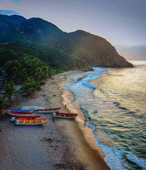 Cepe. La playa de Cepe es una de las playas estelares de las Costas de Aragua. Como sólo se puede llegar por mar, es menos concurrida que Cata o la Playa Grande de Choroní. La playa tiene bastante arena y muchos cocoteros. Es un punto de partida para el buceo (Hay una escuela de buceo). Cepe es un buen lugar para acampar y en temporada alta se pueden ver numerosas carpas, debajo de los cocoteros. Se pueden alquilar toldos en la playa. También hay varios puestos de comida en donde se puede almorz Venezuela Beaches, Mayan Riviera, Magazine Pictures, Beach Room, Breathtaking Places, Beautiful Photos Of Nature, Landscape Pictures, Aerial Photography, Land Scape