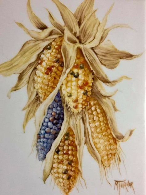 Seed Illustration, Flint Corn, Veggie Art, Corn Stalks, Indian Corn, Winter Landscape Painting, Fall Images, Watercolor Tips, Fall Watercolor