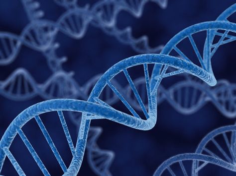 Example of Nucleic acid: DNA Genome Sequencing, Return Of Kings, Fertility Doctor, Dna Repair, Nucleic Acid, Bizarre Facts, Vet Med, Molecular Structure, Genetic Testing