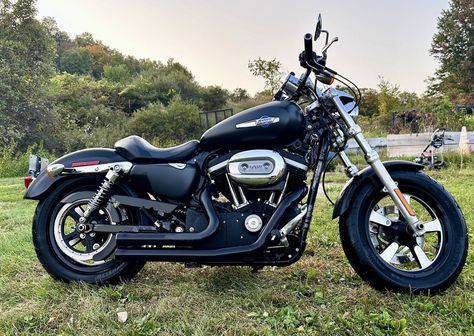 2012 Harley-Davidson® XL1200CP Sportster® 1200 Custom - H-D1 Factory Custom for Sale in SALEM, NY (Item 1303002) Harley Davidson Sportster 1200, 1200 Custom, Custom Sportster, Sportster 1200, Custom Chopper, New Harley Davidson, Custom Harleys, Harley Davidson Sportster, Harley Davidson Motorcycle