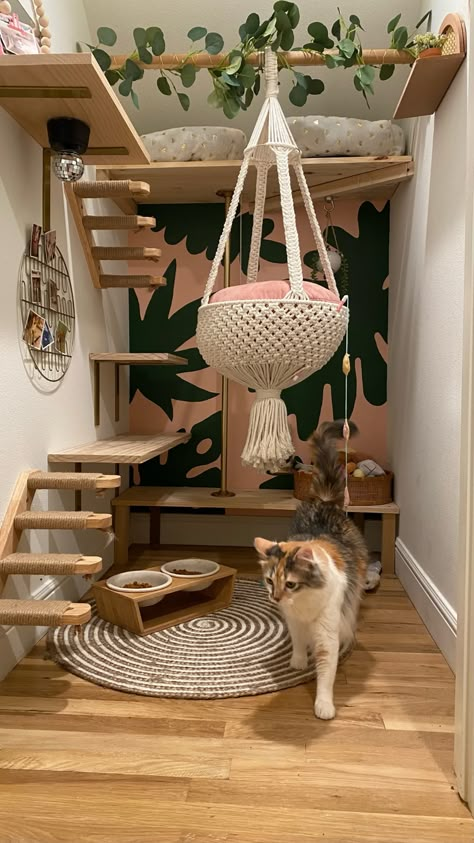 Katt Diy, Cat Room Decor, Katt Grejer, Cat Bedroom, Cat Patio, Pet Room, Cat House Diy, Cat Enclosure, Animal Room