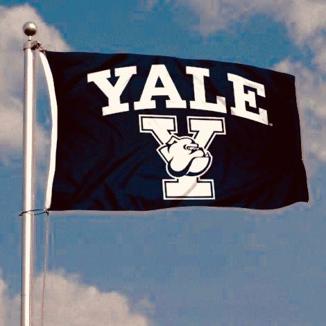 Yale aesthetic Juliette Monroe nathaniel Radcliffe American gods r Scarlett aesthetic old money aesthetic romance book college romance new adult romance Yale Dorm, Like Us Series, Eli Whitney, Richard Gilmore, College Essay Topics, College Goals, College Vision Board, Essay Prompts, Dream College