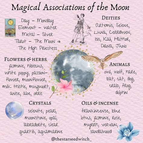 Hibiscus Spiritual Meaning, Universe Secrets, Magical Correspondences, Hearth Witch, Moon And Star Quotes, Personal Philosophy, Lunar Witch, Moon Meaning, Moon Rituals