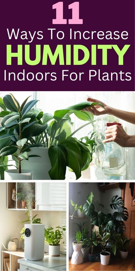 11 Ways To Increase Humidity Indoors For Plants, indoor plant care, plant 
humidity tips, humidity for houseplants, increasing moisture for indoor 
plants, plant humidity control, indoor plant watering techniques, humidity 
levels for indoor gardening, boosting humidity for indoor plant growth, 
plant misting for humidity, indoor plant humidity solutions Humidity For Plants, Spa Oasis, Simple Garden, Dry Air, Wet Towel, Happy And Healthy, House Plants Indoor, Plant Mom, Water Plants