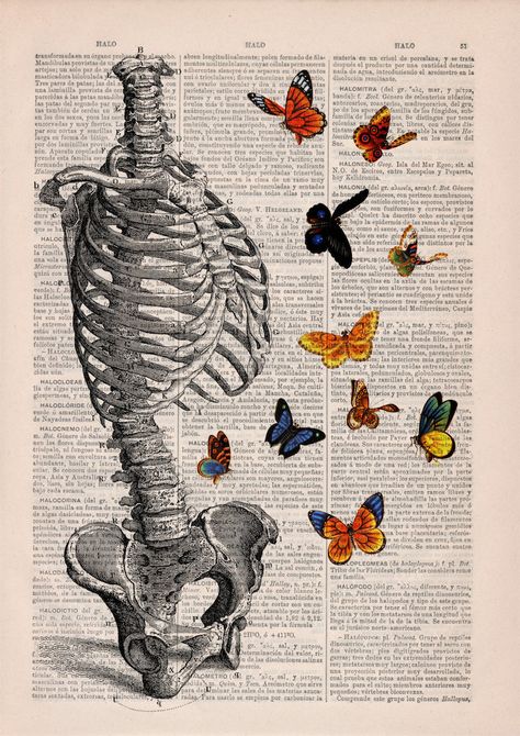 Beautiful Floral Anatomy Illustrations Give New Life to Discarded Pages of Old Books Book Page Art, Dictionary Prints, Human Anatomy Art, Vintage Dictionary, Dictionary Art, Medical Art, Vintage Poster Art, Art Collage Wall, Anatomy Art