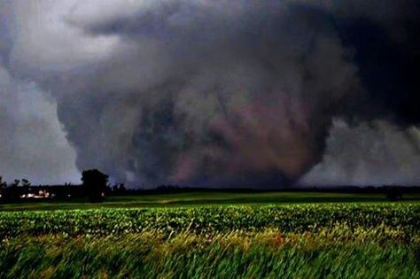 El Reno Tornado, Pictures Of Lightning, Oklahoma Tornado, Camera Man, Weather Channel, Meteorology, The Weather Channel, Storm Clouds, Us History