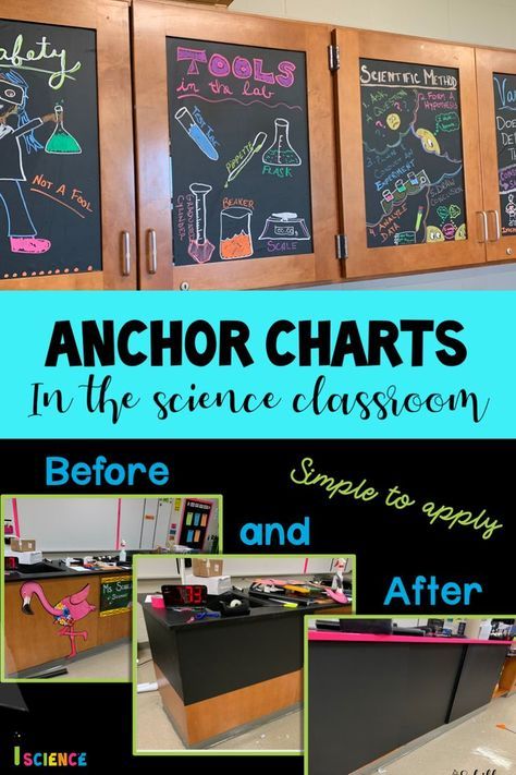 Biology Classroom Decorations Ideas, Decorating Science Classroom, Science Lab Classroom Decorations, High School Science Room, High School Science Classroom Ideas, Ag Science Classroom, Science Lab Classroom Design, Chemistry Anchor Charts High Schools, Classroom Decor High School Science