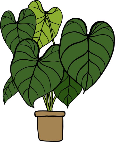 Philodendron Drawing, Houseplant Drawing, Philodendron Gloriosum, Leaf Coloring Page, Freehand Drawing, Plant Clips, Mural Ideas, Paint Night, Drawing Prompt