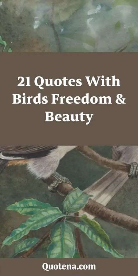 21 Quotes with Birds Freedom & Beauty Quotes About Birds Inspirational, Birds Chirping Quotes, Swallow Quotes, Trust No One Quotes, Birds Freedom, Wing Quotes, Quotes Freedom, 21 Quotes, Leo Quotes