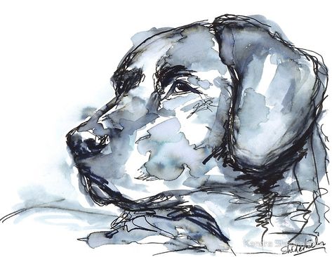 Labrador Retriever, Watercolor Portrait. Copyright 2018 Kendra Shedenhelm #labradorretriever #labrador #gifts #doglovers #blacklab #lab #dog #art #retriever #painting #watercolor #watercolour #shedenhelm Black Lab Watercolor Paintings, Watercolor Black Labrador, Black Labrador Watercolor Painting, Black Labrador Watercolour, Labrador Watercolor Painting, Watercolour Dog Portrait, Watercolour Dog Simple, Scribbled Art, Black Lab Watercolor