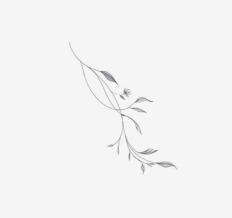 Olive Branch Spine Tattoo, Olive Leaves Tattoo Design, Fine Line Olive Branch Tattoo, Small Angel Wing Tattoo, Lines Tattoo, Small Angel Wings, Medium Tattoos, Olive Branch Tattoo, Minimalistic Tattoos