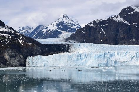 A Glacier in Glacier Bay National Park During the Summer | Smithsonian Photo Contest | Smithsonian Magazine Ship Sailing, Glacier Bay National Park, Earth Element, Element Water, Glacier Bay, Earth Elements, A Ship, The Ship, Photo Location