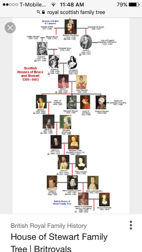 Scottish Nobility, European Royal Family Tree, Royal Family Tree, Family Tree House, British Royal Family Tree, Royal Family History, Balloon Valance, Royal Family Trees, Scotland History