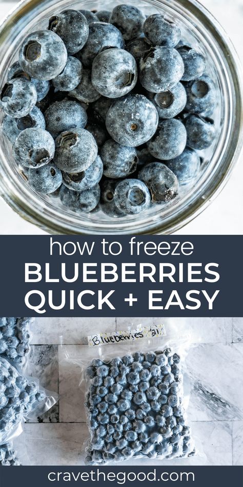 Are you looking for a way to preserve your blueberries? You’re in luck! Here are some tips and tricks that will help you maintain the quality of your frozen fruit for longer. Freezing is one of the best ways to preserve food, but it can be tricky with certain types of produce. Blueberries are especially delicate so here are some things you should know before freezing them. If done correctly, this method can keep berries fresh for up to 24 months! Now that’s something worth knowing about! | ... Preserving Blueberries, How To Freeze Blueberries, Blueberry Ideas, Freeze Blueberries, Sous Vide Chicken Breast, Smoked Pork Tenderloin, Storing Fruit, Preserve Food, Blueberry Sauce