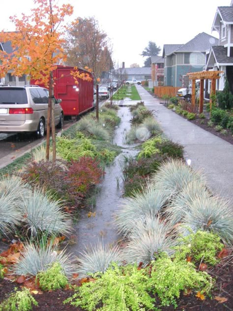 Bioswales as seen in the NACTO Urban Street Design Guide. Click image for full information & guide, and visit the Slow Ottawa 'Stormwater Solutions' board for more sustainable water management. Rain Garden Design, Stormwater Management, Rain Water Collection, Water Management, Rain Garden, Street Design, Shade Garden, Urban Landscape, Garden Planning