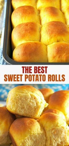 Amish Rolls, Savoury Buns, Potato Dinner Rolls, Sweet Potato Rolls, Sweet Potato Dinner, Sweet Potato Buns, Thanksgiving Meals, Potato Rolls, Sweet Potato Bread