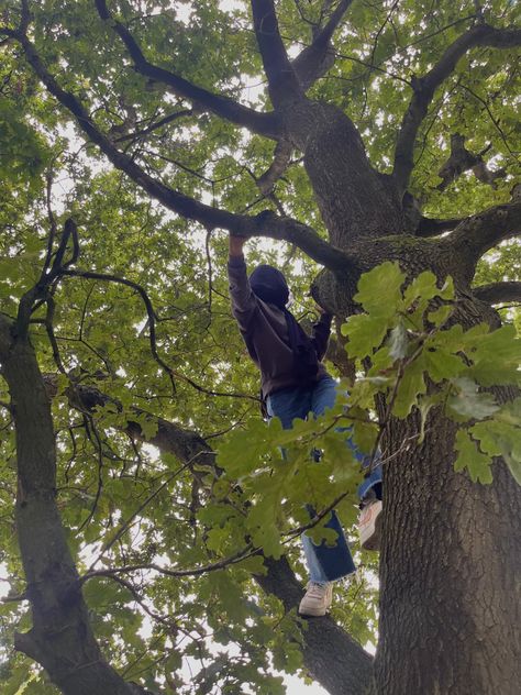 Tree Climbing Aesthetic, Climbing Trees Aesthetic, Girl Climbing Tree, Climbing A Tree, Miracle Quotes, Climbing Trees, Tree Climbing, Instagram Cartoon, Carmen Sandiego