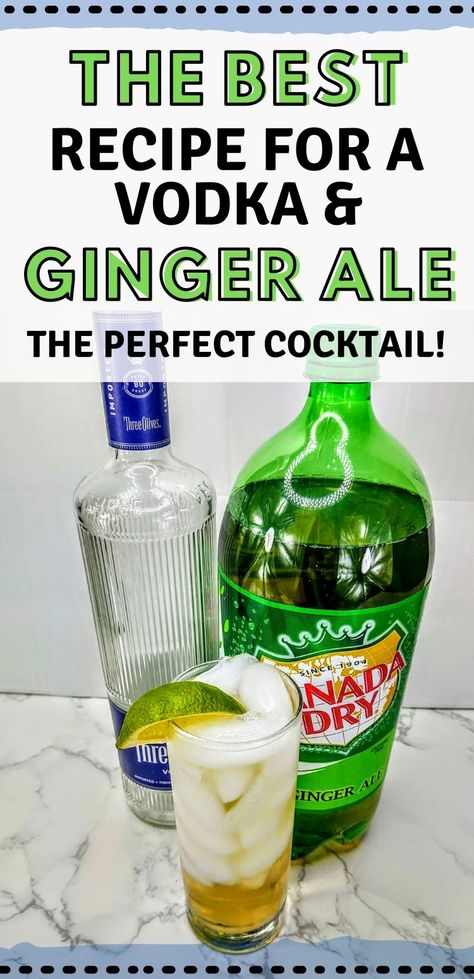 Vodka And Ginger Ale | Occasional Cocktails Vodka Recipes Easy, Ginger Ale Drinks, Ginger Ale Cocktail, Cocktails Vodka, Pear Vodka, Easy To Make Cocktails, Alcohol Beverages, Vodka Soda, Cocktails Recipes