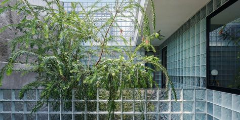 glass block skin enfolds refraction house by RAD+ar in indonesia Denmark House, Glass Blocks Wall, Foyer Ideas Entryway, House Balcony, Glass Brick, Brick Facade, Glass Block, Ground Floor Plan, Architect House