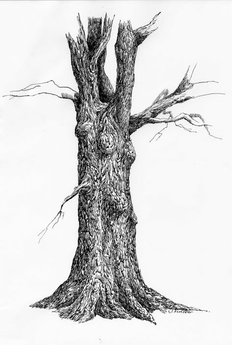 Tree Trunk Drawing, Tree Pencil Sketch, Drawing With A Pen, Ink Drawing Techniques, Drawing Trees, Tree Drawings, Landscape Pencil Drawings, Pencil Trees, Tree Textures