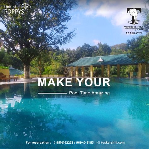 Swimming Pool Creative Ads, Resort Creative Ads, Hotel Marketing Design, Travel Resorts, Real Estate Slogans, Social Media Checklist, Hotel Ads, Jungle Resort, South Indian Style