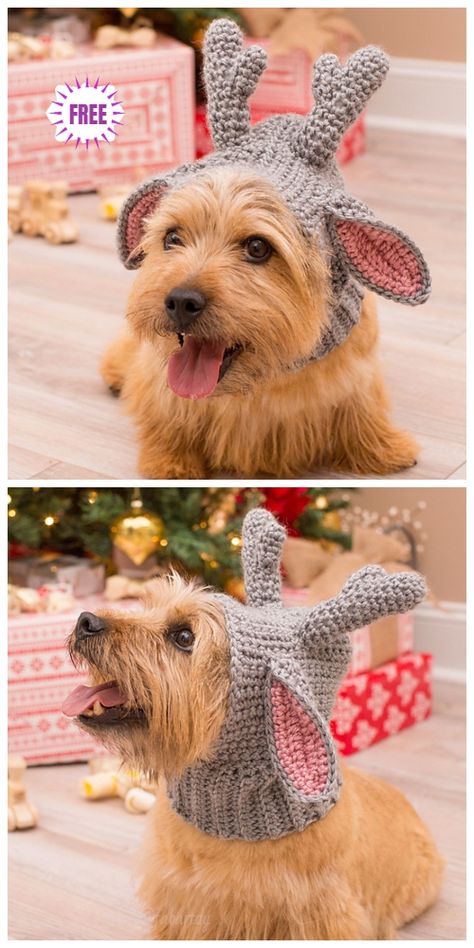 Crochet Doggie Deer Snood Free Crochet Pattern Free Form Crochet, Crochet Dog Hat, Snood Pattern, Crochet Snood, Crochet Dog Clothes, Dog Sweater Crochet Pattern, Dog Snood, Crochet Deer, Crochet Dog Patterns