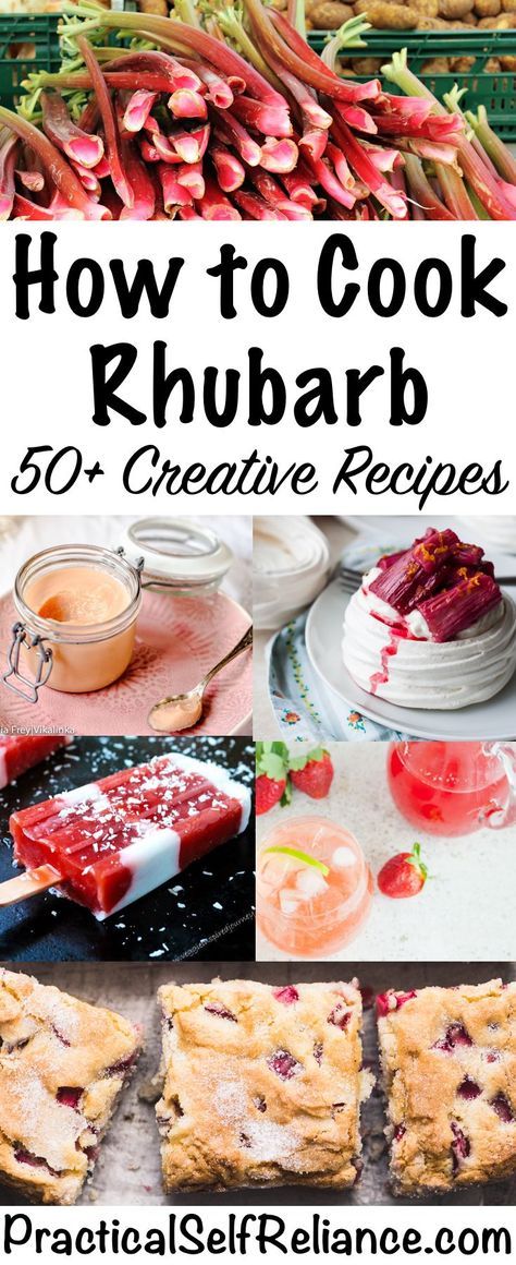 How to Cook Rhubarb ~ 50+ Creative Rhubarb Recipes ~ Sweet and Savory Rhubarb Recipes Savory Rhubarb Recipes, Rhubarb Pies, How To Cook Rhubarb, Easy Rhubarb Recipes, Rhubarb Galette, Strawberry Rhubarb Recipes, Best Rhubarb Recipes, Growing Rhubarb, Rhubarb Sauce