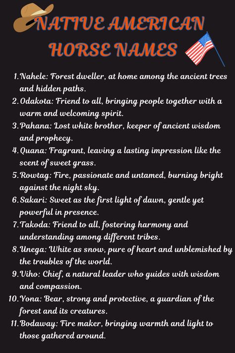 Horses have played a significant role in Native American culture for centuries, serving not only as vital companions in daily life but also as symbols of strength, freedom, and spiritual connection.

These majestic animals were integral to hunting, travel, and warfare, profoundly impacting the daily lives of Native American tribes.

Naming these revered animals has always carried deep cultural meanings, reflecting the values, nature, and spirituality of Native American tribes. Native American Animals, Native American Horses, Creative Names, Horse Names, Ancient Tree, Majestic Animals, Native American Tribes, American Culture, Unique Names