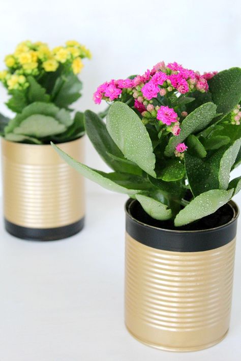 DIY recycled tin can flower pots - Instead of throwing away your tin cans, why not recycle them into something pretty and useful like some flower pots. Here’s how to make tin can flower pots in just a few easy steps. Tin Can Planters, Can Planters, Tin Can Flowers, Tin Planters, Recycled Tin Cans, Home Improvement Hacks, Thrifty Diy, Diy Home Garden, Recycled Tin