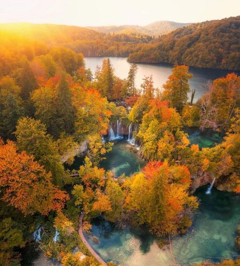 Gonna need you guys to add Plitvice Lakes National Park in Croatia to your autumn travel bucket list 😍 It looks magical! 📸:… | Instagram Plitvice National Park, Travel Project, Plitvice Lakes National Park, Golden Tree, Beautiful Landscape Photography, Nature Instagram, Plitvice Lakes, Autumn Scenes, Europe Vacation