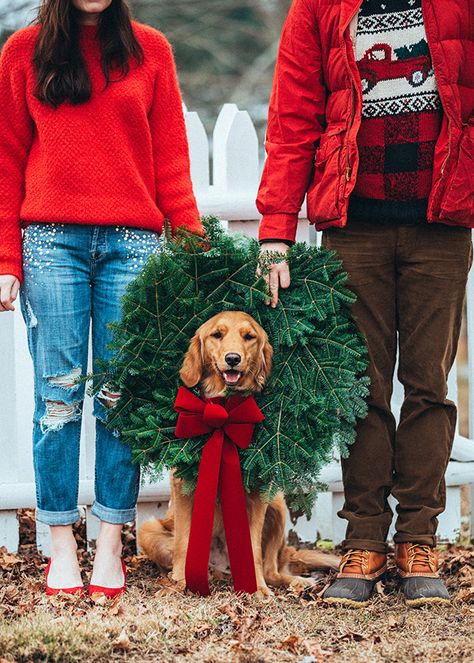 Christmas Tree Ideas Classy, Red And Gold Decorations, Useful Presents, Clean Preset, Dog Family Pictures, Dog Christmas Photos, Dog Christmas Pictures, Christmas Couple Pictures, Sarah Vickers