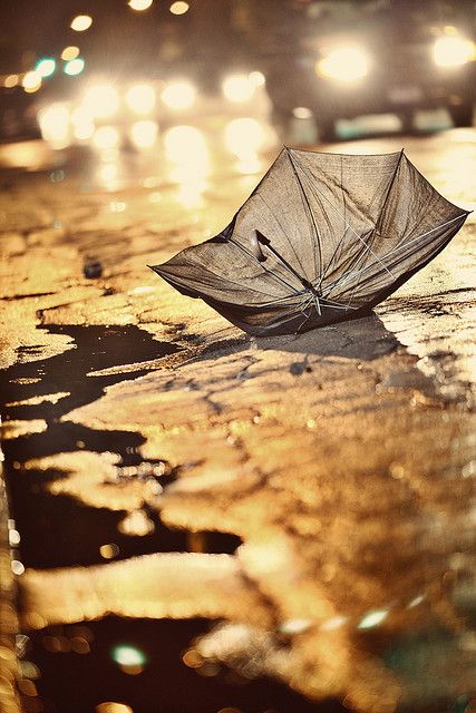 Great perspective and lighting. Bokeh in the rain. I Love Rain, Rainbow Rain, Love Rain, Under My Umbrella, Singing In The Rain, Walking In The Rain, Umbrellas Parasols, Rainy Night, Sound Of Rain