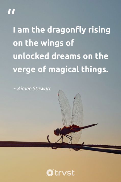 "I am the dragonfly rising on the wings of unlocked dreams on the verge of magical things." -Aimee Stewart #trvst #quotes #planetearthfirst #socialchange #dragonfly Wing Quotes, Dragonfly Symbolism, Dragonfly Quotes, Russian Proverb, Wings Quotes, Aimee Stewart, April Rain, Fly Quotes, Tom Robbins