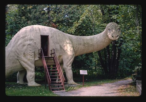 Documenting America’s Long, Venerable Tradition of Roadside Dinosaurs - Atlas Obscura Googie Architecture, Dino Park, Dinosaur Park, Unusual Buildings, Photo Grouping, Roadside Attractions, Retro Futurism, Library Of Congress, Photo Archive