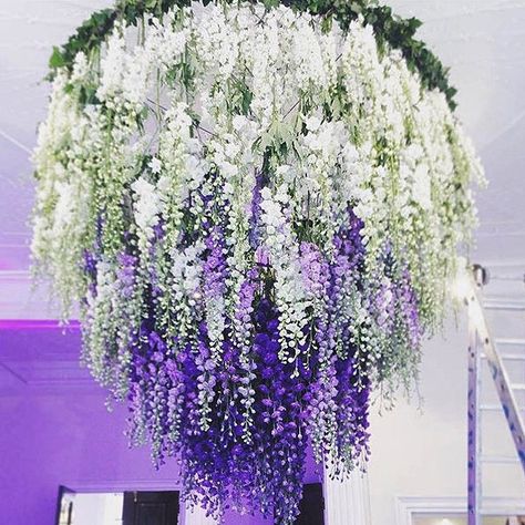 Wisteria buds are out so soon you can create a wisteria waterfall chandelier like this one by @allforlovelondon #wisteria #spring… Wisteria Wedding, Fun Wedding Decor, Wedding Chandelier, Flower Chandelier, Mehndi Decor, Floral Chandelier, Wedding Flowers Summer, Diy Chandelier, Hanging Garland